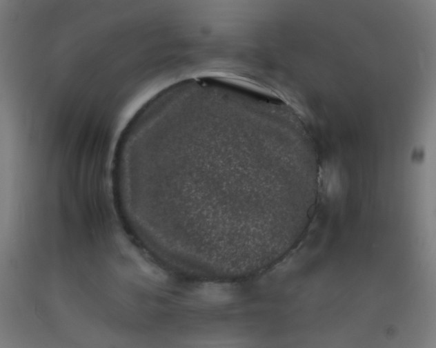 X0000092290292200709281311