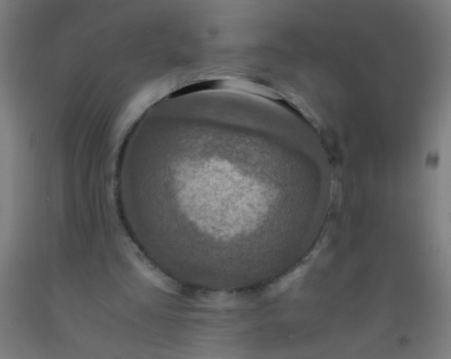 X0000092290293200709281311