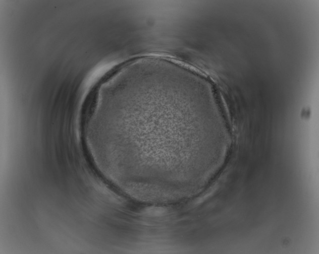 X0000092290294200709281311