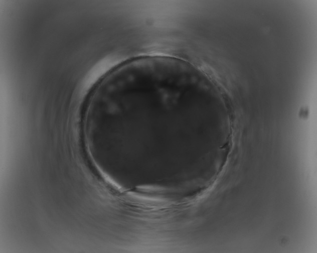 X0000092290295200709281311