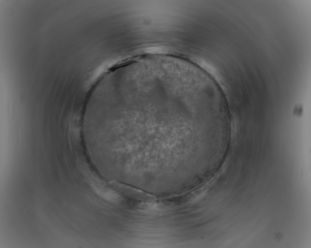 X0000092290297200709281311