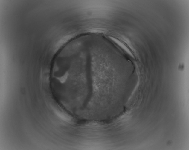 X0000092290299200709281311