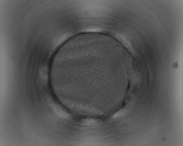 X0000092290300200709281311