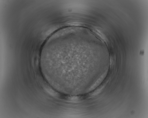 X0000092290301200709281311