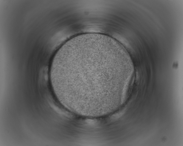 X0000092290302200709281311