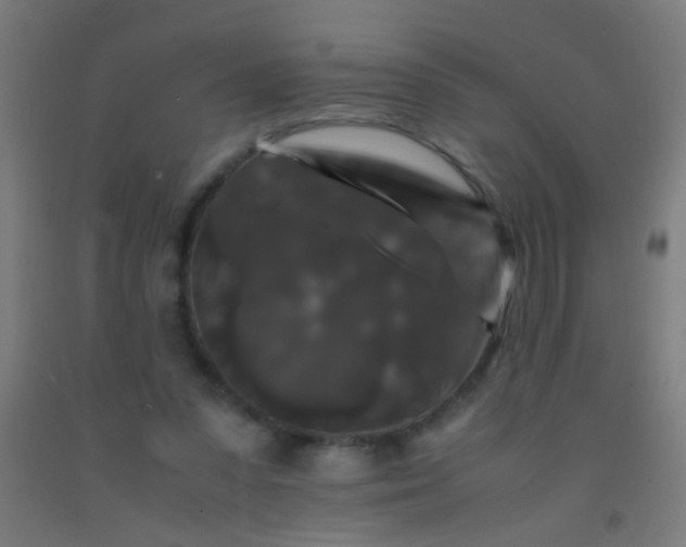 X0000092290303200709281311