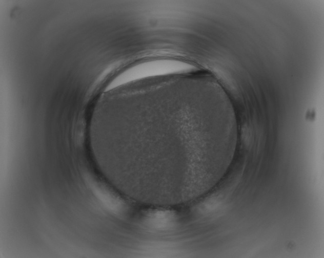 X0000092290304200709281311