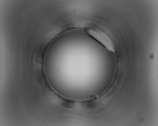 X0000092290305200709281311