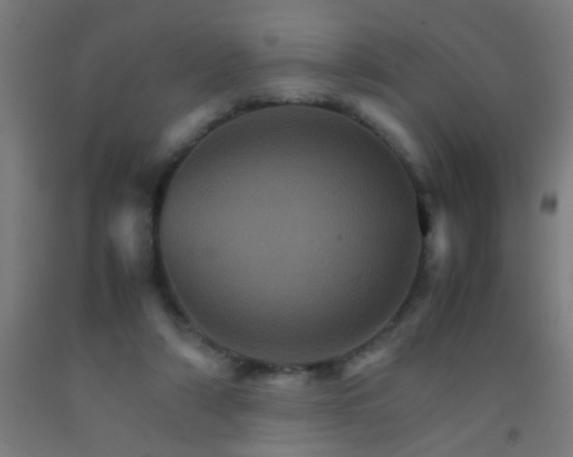 X0000092290306200709281311