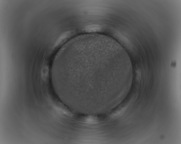 X0000092290308200709281311