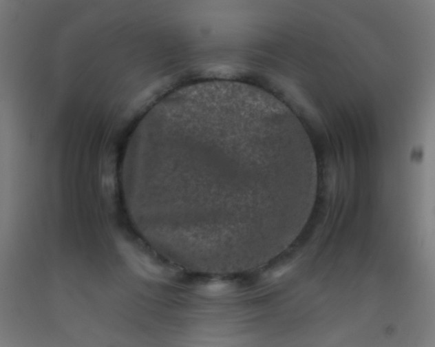 X0000092290312200709281311