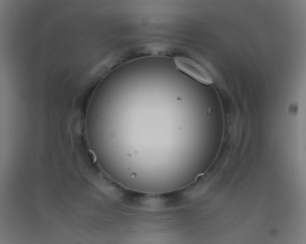 X0000092290313200709281311