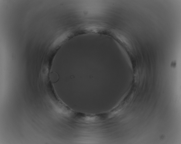 X0000092290314200709281311