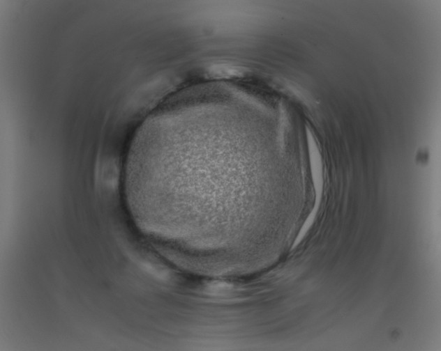 X0000092290315200709281311