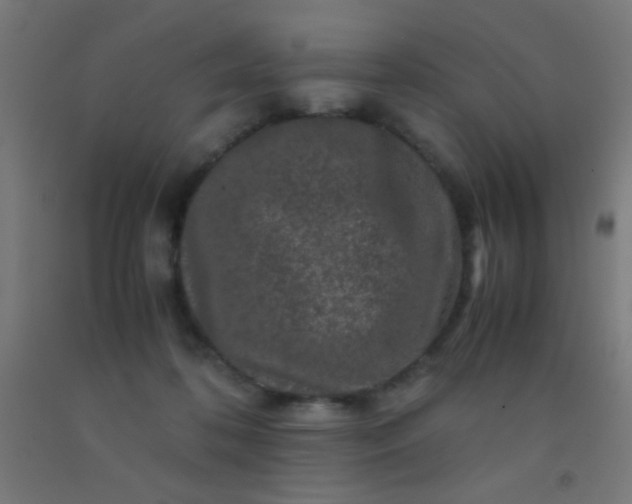 X0000092290316200709281311