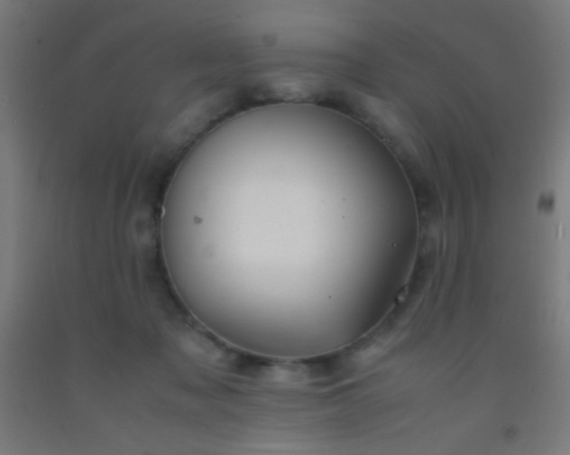 X0000092290317200709281311