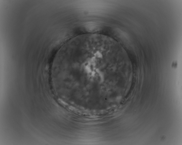 X0000092290319200709281311