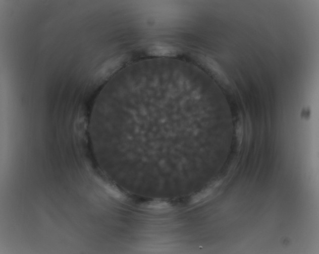 X0000092290322200709281311