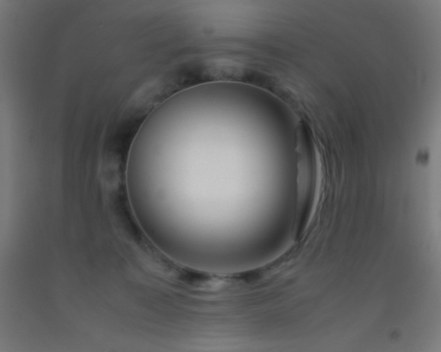 X0000092290323200709281311