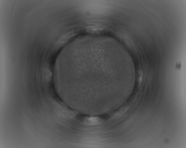 X0000092290324200709281311