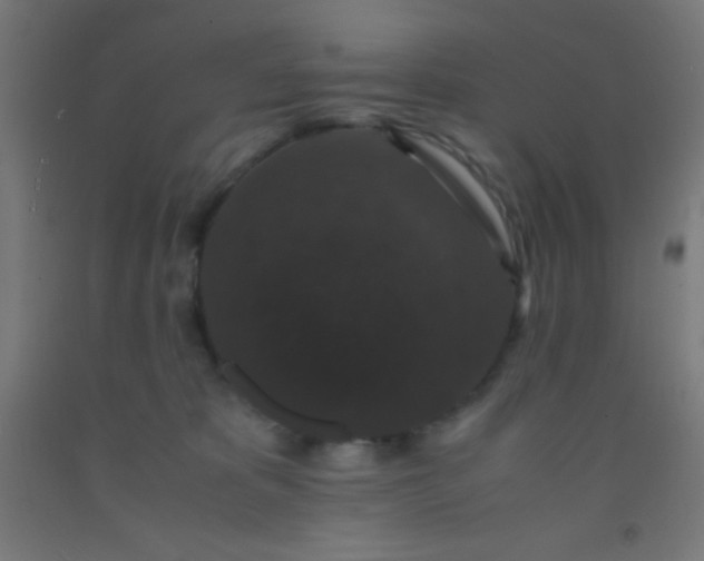 X0000092290325200709281311