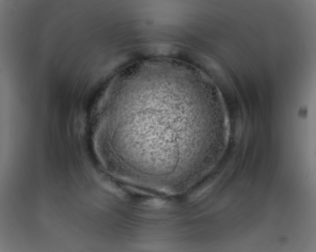 X0000092290326200709281311