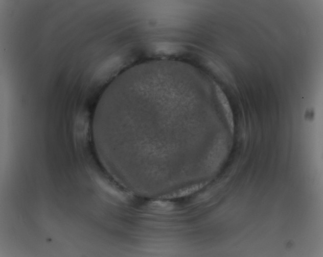 X0000092290328200709281311