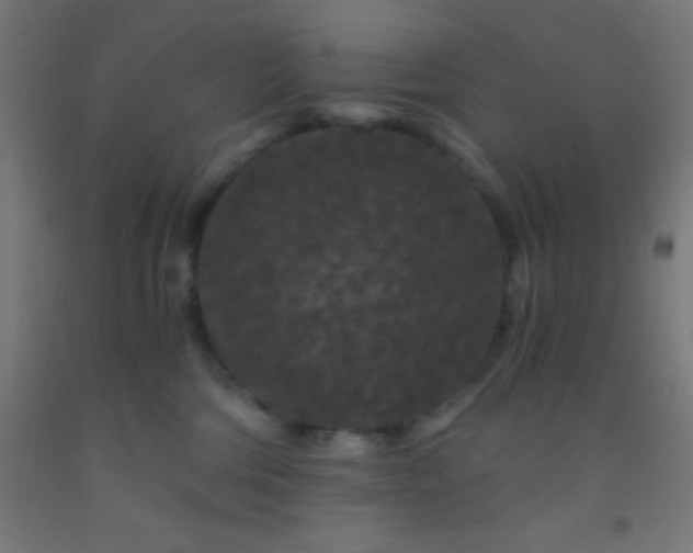 X0000092290330200709281311