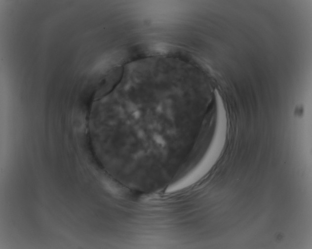 X0000092290331200709281311