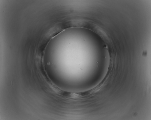 X0000092290333200709281311