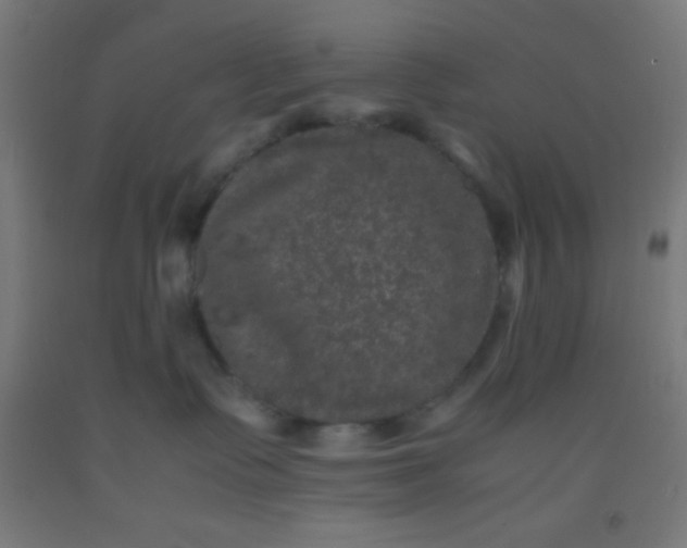 X0000092290335200709281311