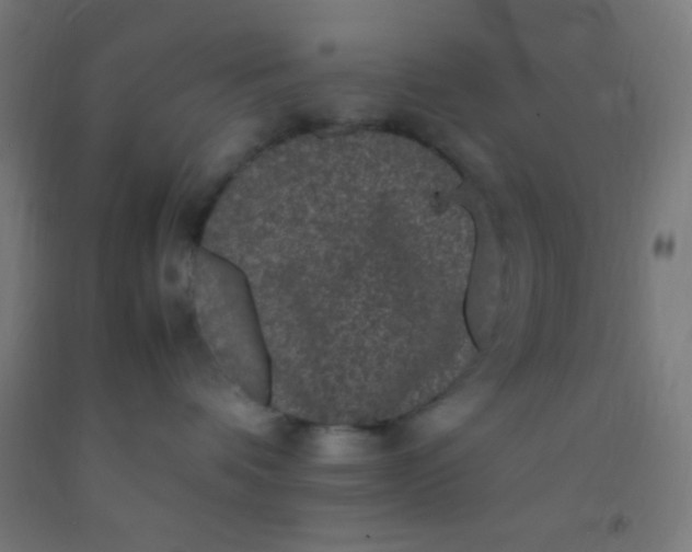 X0000092290336200709281311