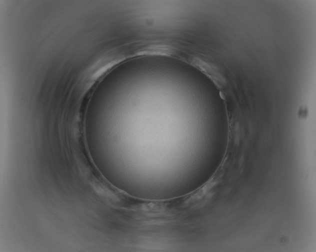 X0000092290338200709281310