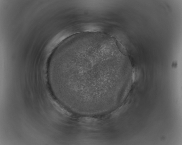 X0000092290339200709281310