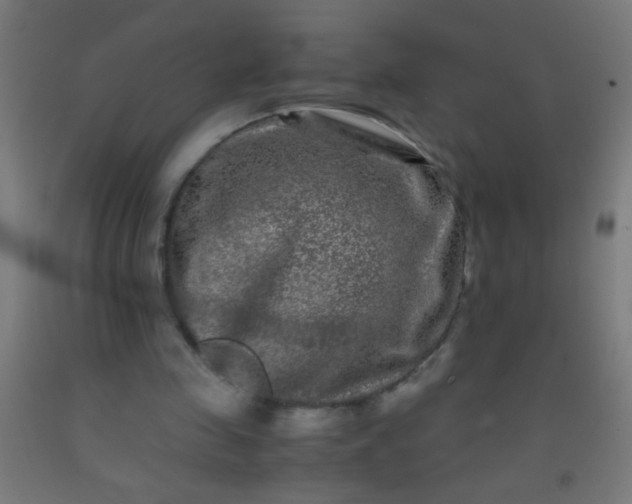 X0000092290341200709281310