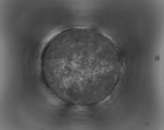 X0000092290343200709281310