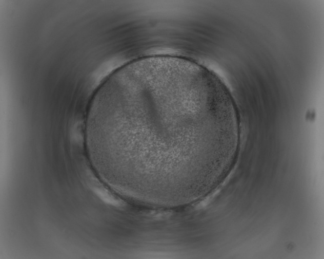 X0000092290345200709281310