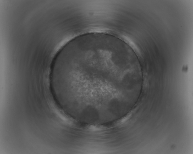 X0000092290346200709281310