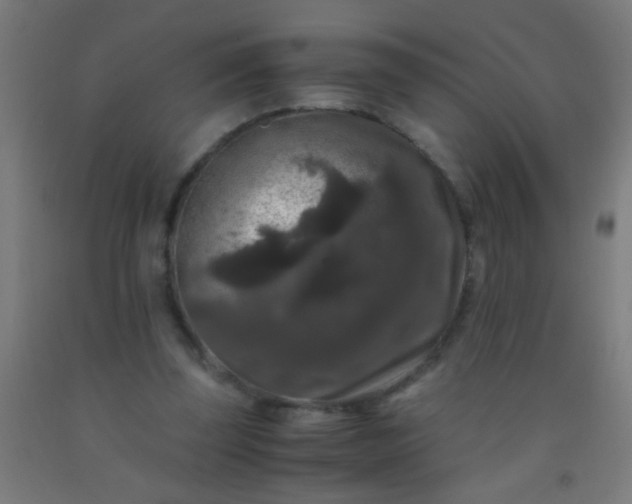 X0000092290347200709281310