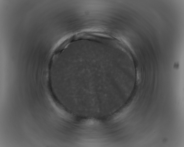 X0000092290348200709281310