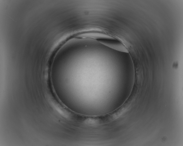 X0000092290350200709281310