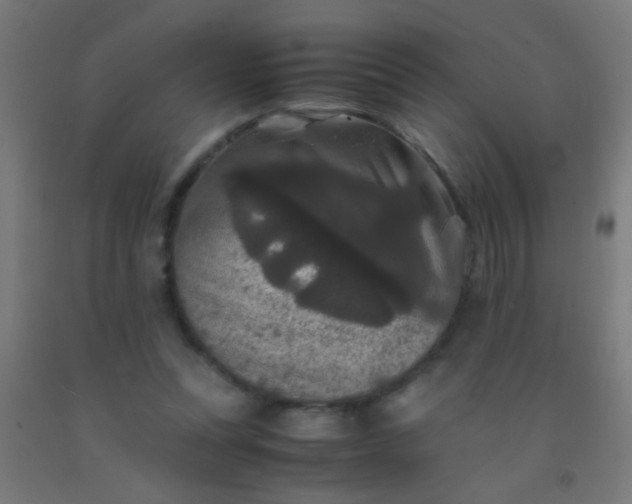 X0000092290351200709281310