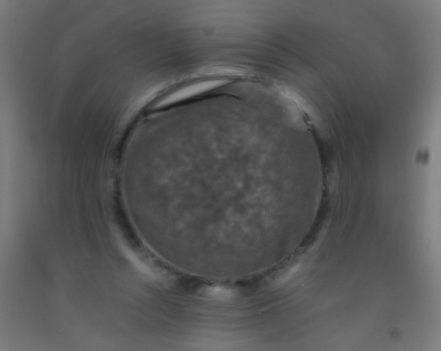 X0000092290352200709281310