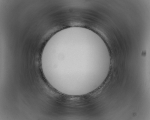 X0000092290353200709281310