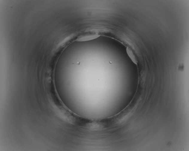 X0000092290356200709281310