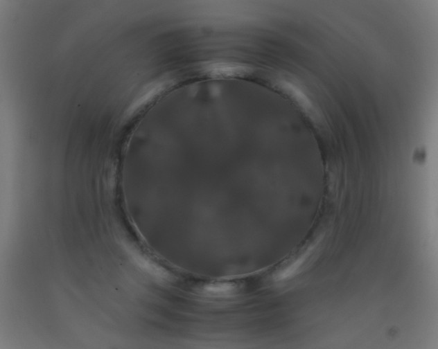 X0000092290357200709281310