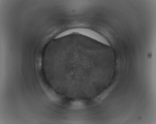 X0000092290358200709281310