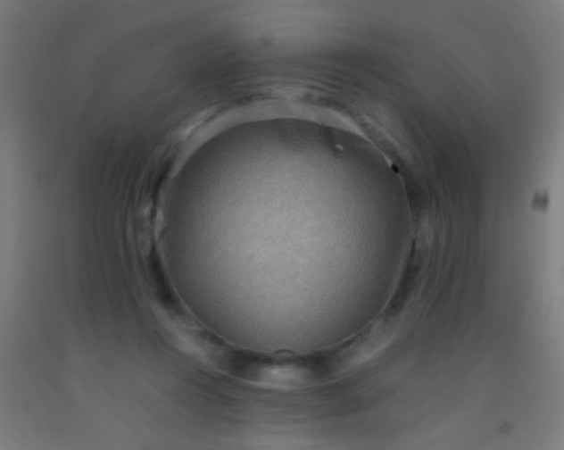 X0000092290360200709281310