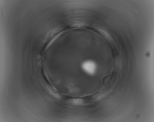 X0000092290361200709281310