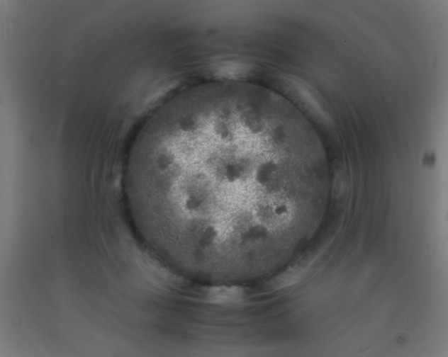 X0000092290363200709281310